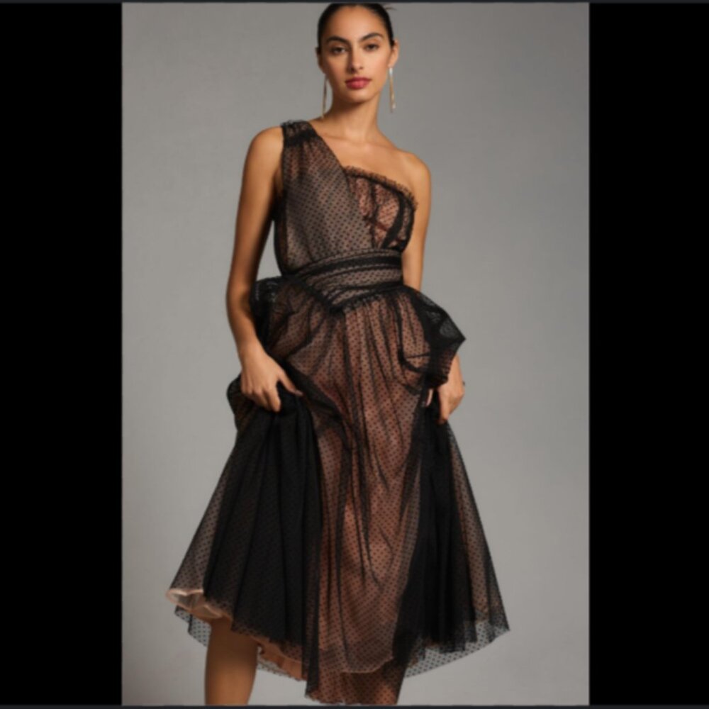 Brand New Gorgeous By Anthropologie Tulle Dot Maxi Dress